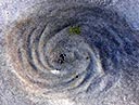 sand swirl