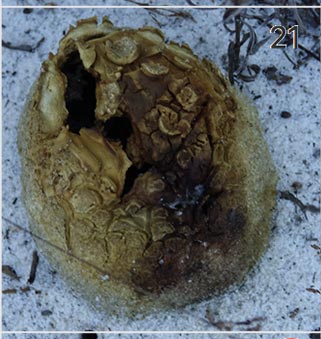 November 21, 2018