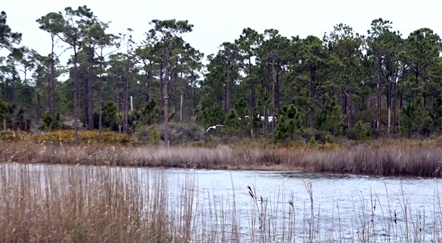 Western Lake, looking west