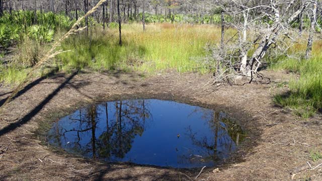 blue pool on trail from Scenic 30A, November, 2014