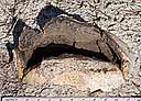 Excavation, earthball