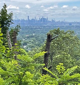 Eagle Rock Reservation Overlook