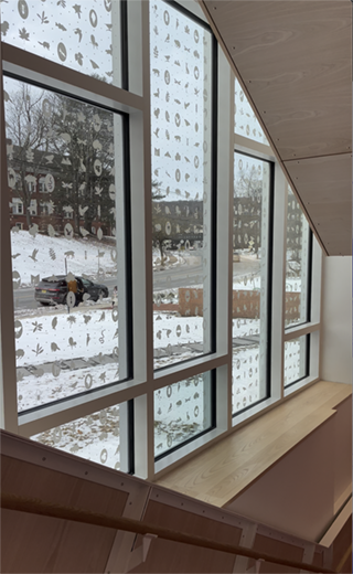Stairwell windows