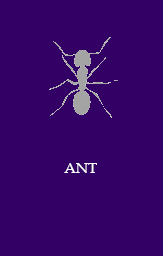 Ant
