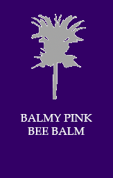 Balmy pink bee balm