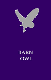 Barn owl