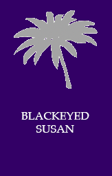 Blackeyed susan