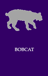 Bobcat