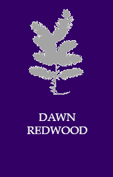 Dawn Redwood