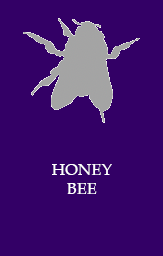 Honey Bee