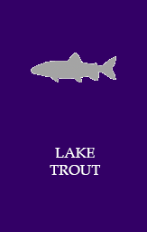 Lake trout