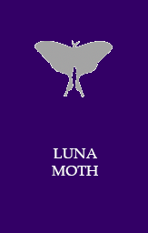 Luna moth