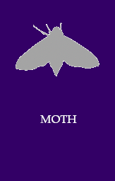 Moth