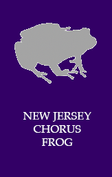 New Jersey chorus frog