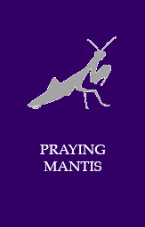 Praying mantis