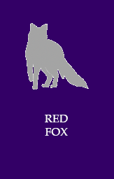 Red fox