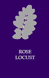 Rose locust