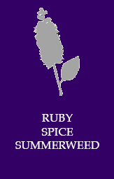 Ruby spice summerweed