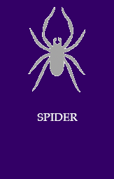 spider