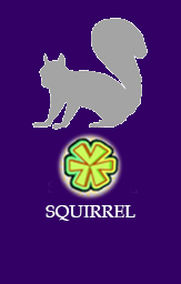 Squirrel