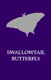 Swallowtail butterfy