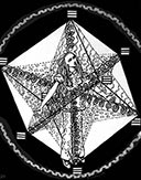 Page 20, Core Coils of the Tetrahedronal Light Muscle