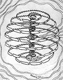 Page 10, Smallest Unit of Life at the Eye of Universal Mind