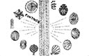Contents