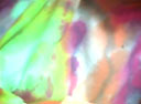 Eyes Wander in Wholeo Dome