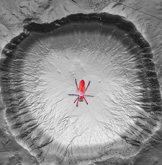 Dream bug seen from above