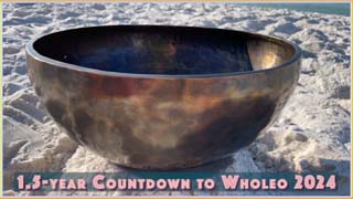 1.5-year Plan for Caroling's final artwork, Wholeo 2024 Movie